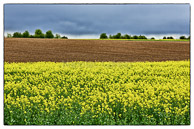 jeudi 19 avril 2012 / Canon EOS 5D Mark III-EF85mm f/1.2L II USM-320-1/160 s à f/11